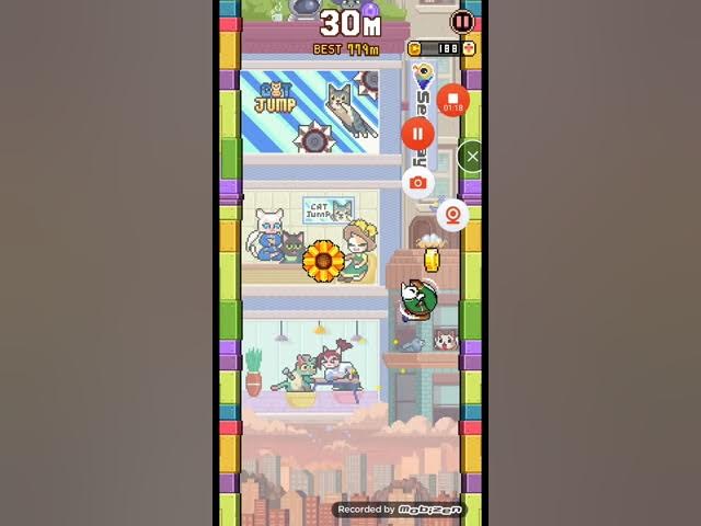 секретные коты в cat jump смотреть онлайн