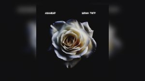 Asanrap - Шома тигр (текст слова песни скачать слушать тикток слезы на щеках  ты че дура плачешь)