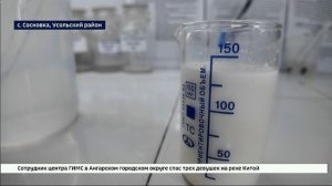 Мороженое с новым «сибирским» вкусом готовится выпустить фабрика в Усолье-Сибирском