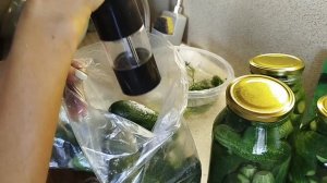 ОгУРЦы🥒🥒🥒 собираю, поливаю, мариную