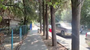 ✨ВЕЧЕРНЯЯ АЛИСОТЕРАПИЯ✨ | #общение #ламповыйстрим #девушкастримит