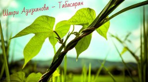 Шахри Азизханова – Табасаран