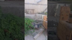 1000250166.mp4