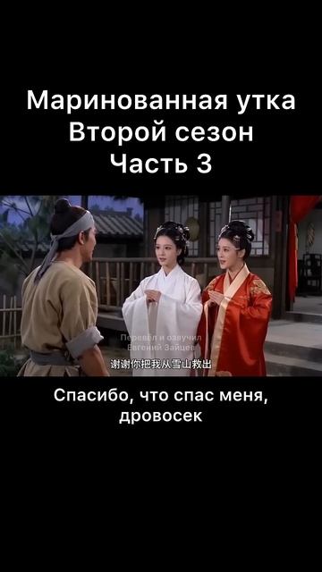 Маринованная утка. Второй сезон. Часть 3.