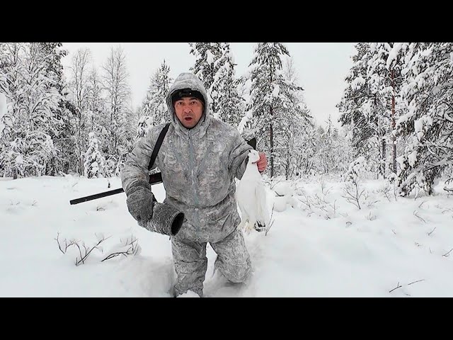 СУЕТА В ТАЙГЕ / ОХОТА НА БОРОВУЮ ДИЧЬ / ВЫВОЖУ ТЕХНИКУ ИЗ ЛЕСА. смотреть онлайн