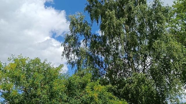 07-07-2026 Заводчица, обзорщица, обсерщица ... кто ты