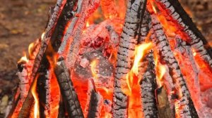 Cooking Deep In The Forest  Epic Wilderness Food Compilation (ASMR)