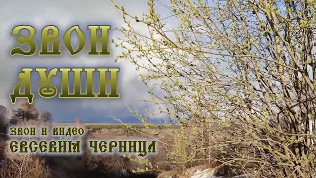 ПРАВОСЛАВНАЯ ЖИЗНЬ