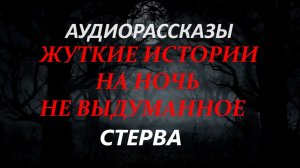 СТРАШНЫЕ РАССКАЗЫ НА НОЧЬ-СТЕРВА