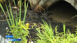 Состояние водоотводной канавы в Рыбинском поселке Копаево оценили специалисты