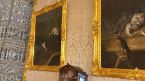 Санкт-Петербург Первые впечатления
