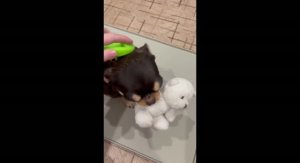 Радулечка прислала видео приветик.