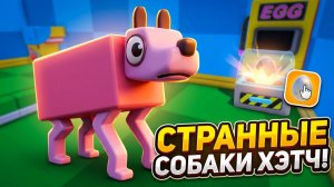 РАЗВОЖУ ОЧЕНЬ СТРАННЫХ СОБАК