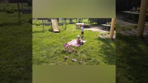 Лето-это маленькая жизнь! Один день из жизни группы «Жемчужинки»