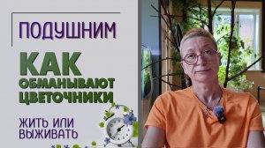 Как обманывают цветочники. Жить или выживать. Что действительно важно для растений. Подушним.