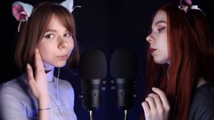 🐱 АСМР МУРЧАНИЕ и ЗВУКИ ХИЩНИКА 🎬 с ушка на ушко