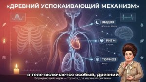 Если вам за 60: делайте это утром — проживёте до 100 лет без болезней!