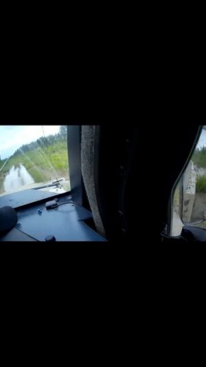 Вот такая дорога в тайге)))).