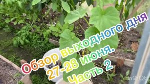 Обзор выходного дня 27-28 июня. Часть 2