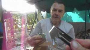 РАСПАКОВКА ТОВАРОВ С WB