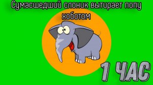 Сумасшедший слоник вытирает попу хоботом 1 час