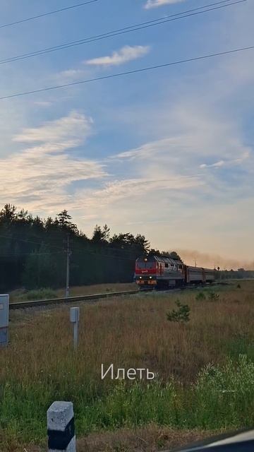 Попал под «красный» в Илети