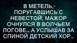 В метель, поругавшись с невестой, мажор очнулся в волчьем логове... А услышав за спиной детский хо