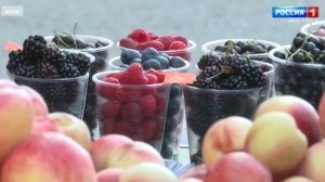 В Минводах продукцию на нелегальных рынках будут утилизировать