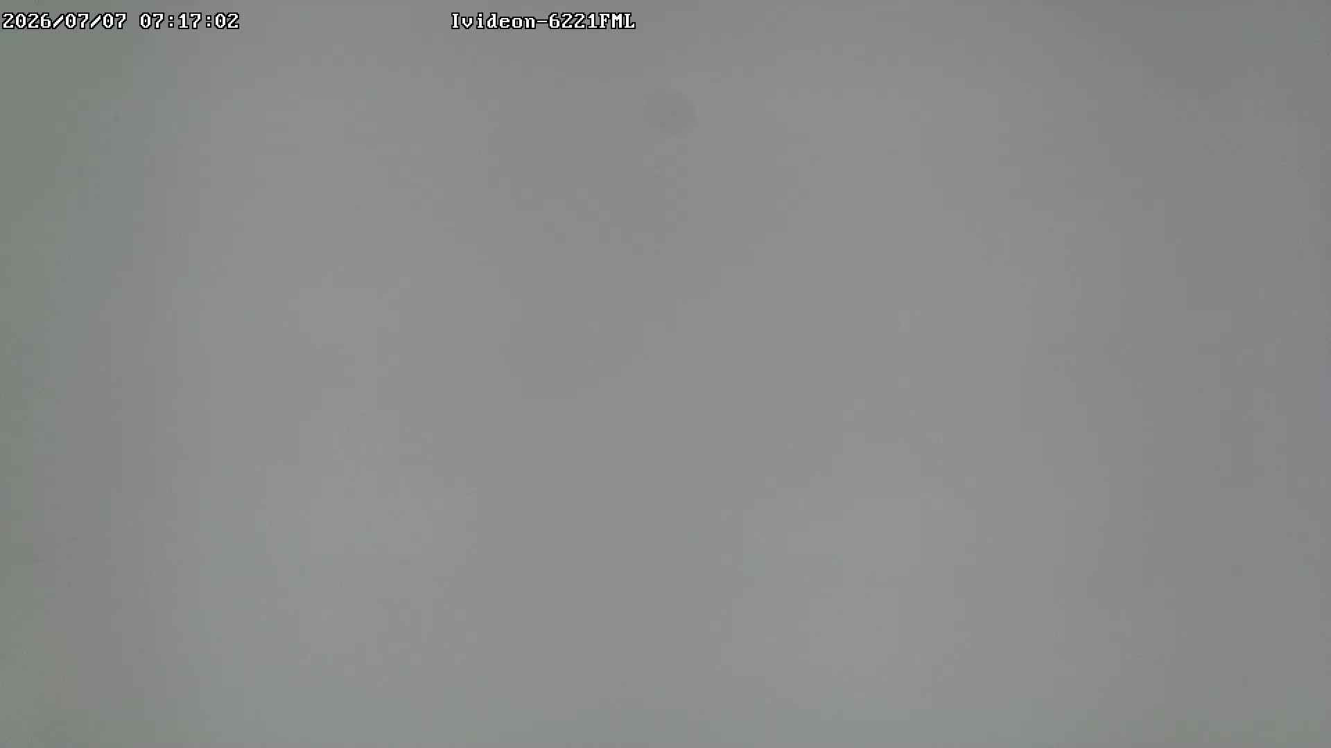 LIVE: channel43489494 смотреть онлайн