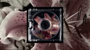 Музыка для флешмоба #flash #music #remix #fyp