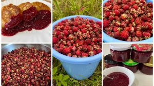 Варенье из Луговой клубники не перебирая ягоду.