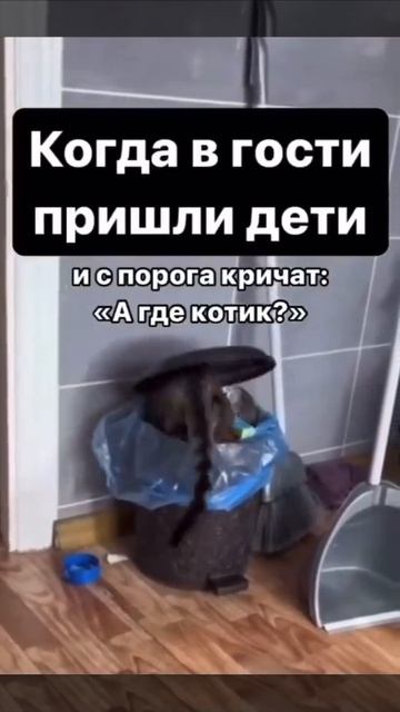 07-07-2026 смотреть онлайн