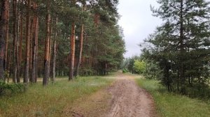 Почему не стоит давать деньги в долг?