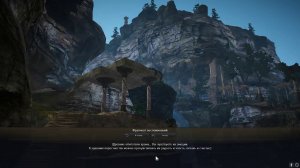 Black Desert - Квест Древние руины Гайфирансии