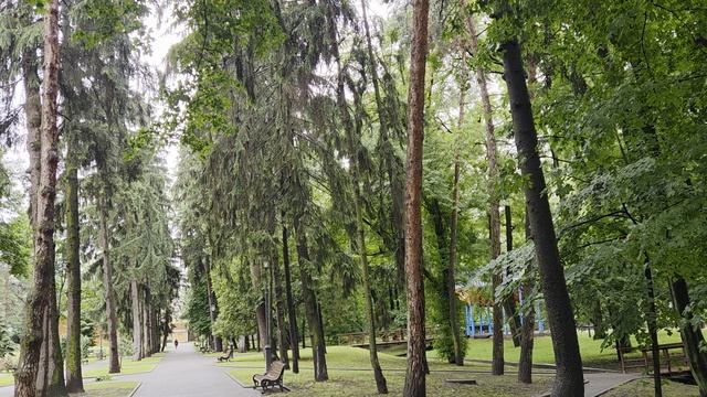 Старый парк . утро июль2026