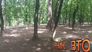 Доброго Вторника. ПАРК расположен рядом с домом.