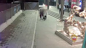 Подростка ограбили на 1,5 млн рублей в «Москва-Сити»: видео.