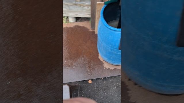 1000032602.mp4