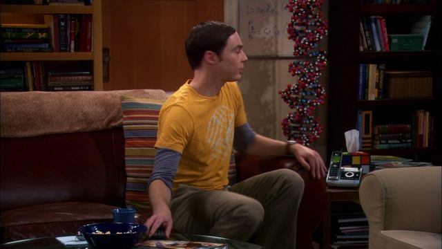 Теория Большого взрыва 5 сезон 9 серия / The Big Bang Theory смотреть онлайн