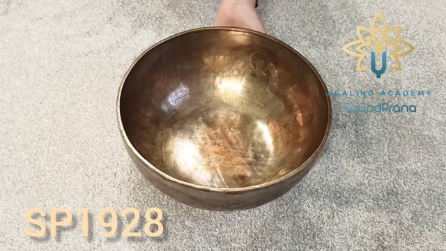 SP1928 Тибетская поющая чаша ручной работы