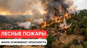 Новости Германии: пожары, сокращения, реформы и перемены в Volkswagen | #Картинадня
