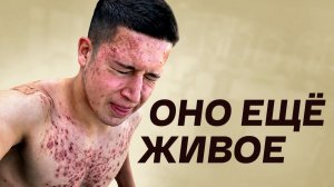 Школяры На Стероидах Решили, Что Всё Получится