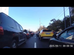 Котик, котик мяу-мяу, твои лапки вау-вау