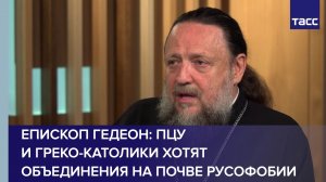 Епископ Гедеон: ПЦУ и греко-католики хотят объединения на почве русофобии