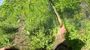 Сапёры группировки войск «Север» выполняют разминирование дорог
