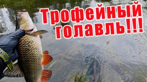 Я ОЧЕНЬ ДОЛГО ИСКАЛ ЭТОТ ПЕРЕКАТ!!! ТРОФЕЙНАЯ РЫБАЛКА НА ГОЛАВЛЯ!!!
