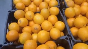 СВЕТОФОР ТОЛПЫ ЛЮДЕЙ  РАСКУПАЮТ ДЕШЕВЫЕ ПРОДУКТЫ ПИТАНИЯ Обзор магазина низких цен