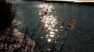 г. Сызрань « без прикрас» Фотографии  26 года. (4)