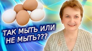 Нужно ли мыть куриные яйца. Вас удивят ответы экспертов и диетологов