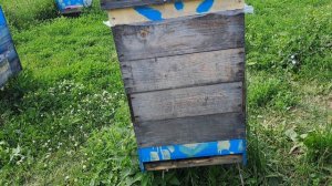 Объединять или не объединять семьи перед основным медосбором? Работа семей с удвоенной силой
